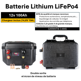 Batterie générique 12V 100A avec fonction Bluetooth