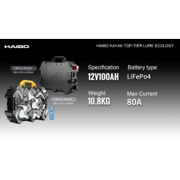 Batería LiFePO4 12V 100Ah HAIBO LIPB-12-100-A25